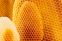 Thumbnail for Latin Honey Shop Raw Organic Brazilian Honey Baby Wash 250ml