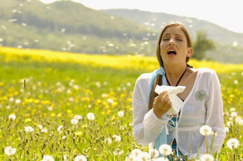 Which Honey Should I Use To Combat Hay Fever?