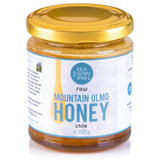 Raw Mountain Ulmo Honey From Chile 227g Latin Honey Shop