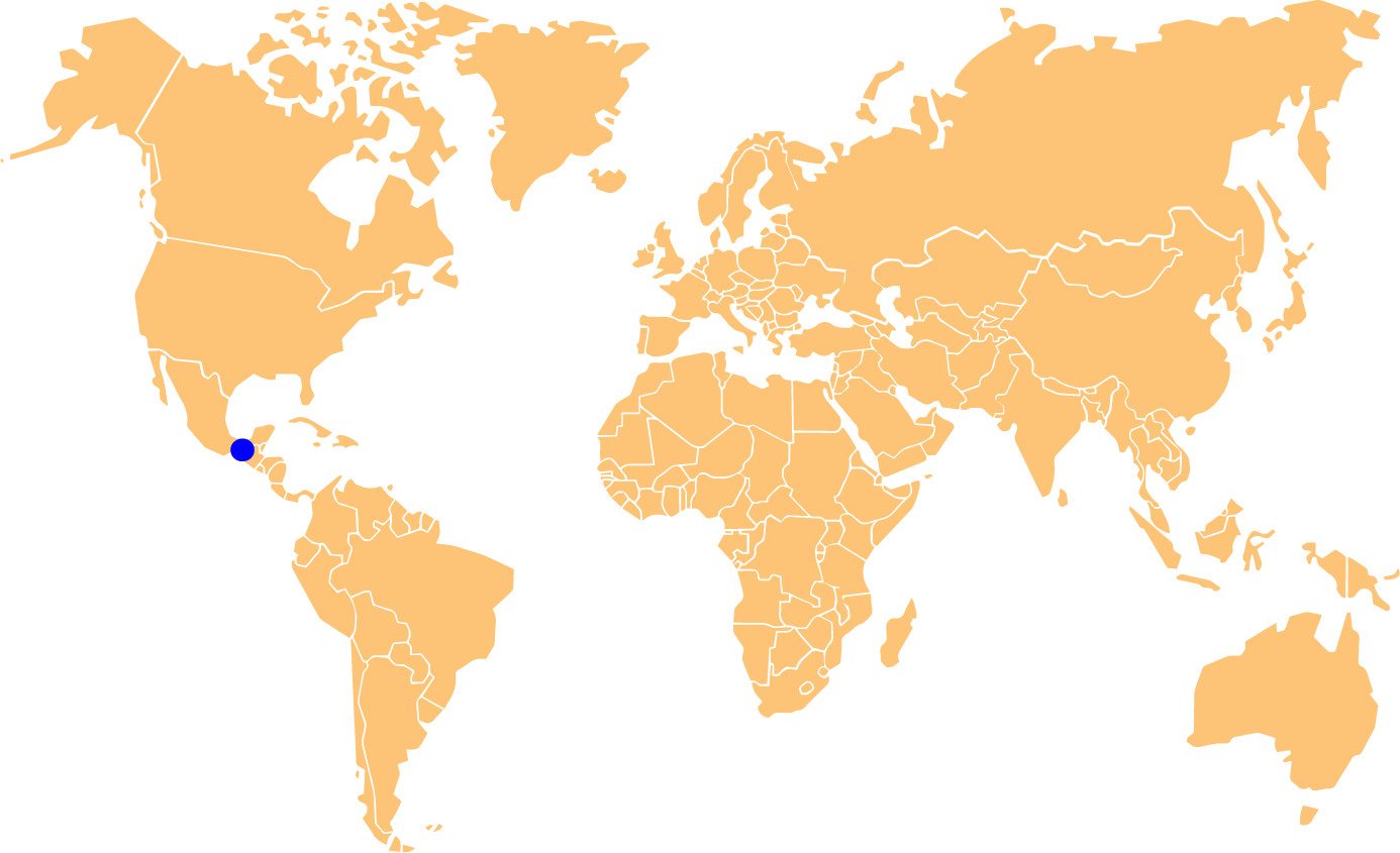 Latin Honey Shop 20+ aktiv rå økologisk kaffebønnehonning fra Mexico svarende til 20+ TA Manuka honning